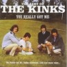 The Kinks - The Best of The Kinks: You Really Got Me (CD)
