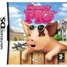 Crazy Pig (DS) (CIB)
