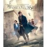 Ihmeotukset ja niiden olinpaikat (Fantastic Beasts and Where to Find Them (2016)) (Blu-ray)