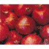 Don Huonot - Tähti (CD Digipak)