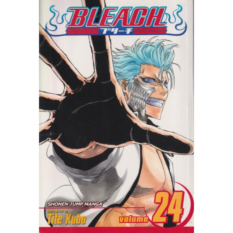 Bleach 24 (Manga)