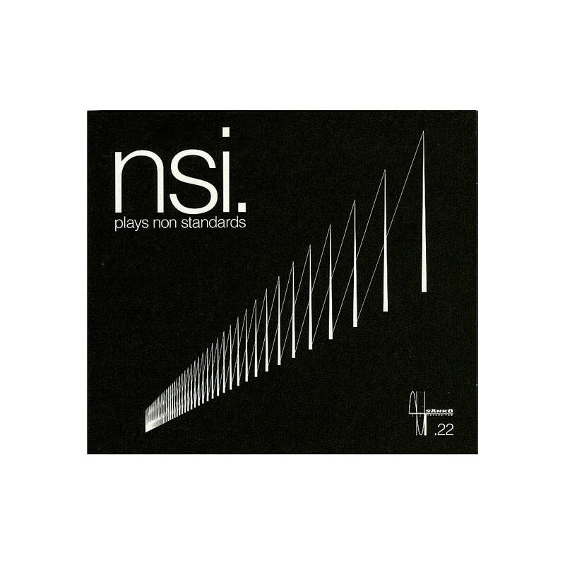 NSI Non Standard Institute - Plays Non Standards (CD)