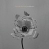 The Naked and Famous - In Rolling Waves (CD)