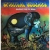 Spiritual Beggars - Another Way To Shine (CD)