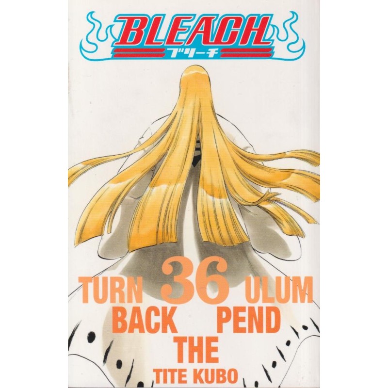 Bleach 36 (Manga)