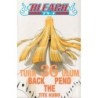 Bleach 36 (Manga)