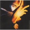 Terence Trent DArby - Terence Trent DArbys Neither Fish Nor Flesh: A Soundtrack Of Love, Faith, Hope, And Destruction (CD)