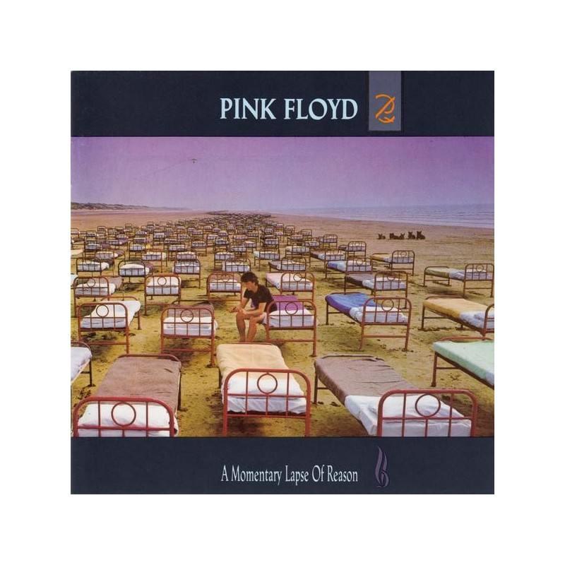 Pink Floyd - A Momentary Lapse Of Reason (CD)