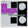 Van Morrison - Whats Wrong With This Picture? (CD)