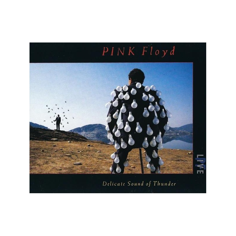 Pink Floyd - Delicate Sound Of Thunder (2 CD)