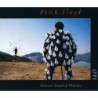 Pink Floyd - Delicate Sound Of Thunder (2 CD)