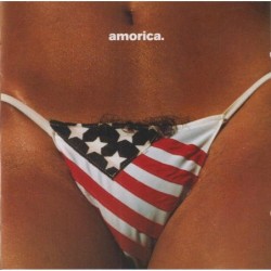 The Black Crowes - Amorica...