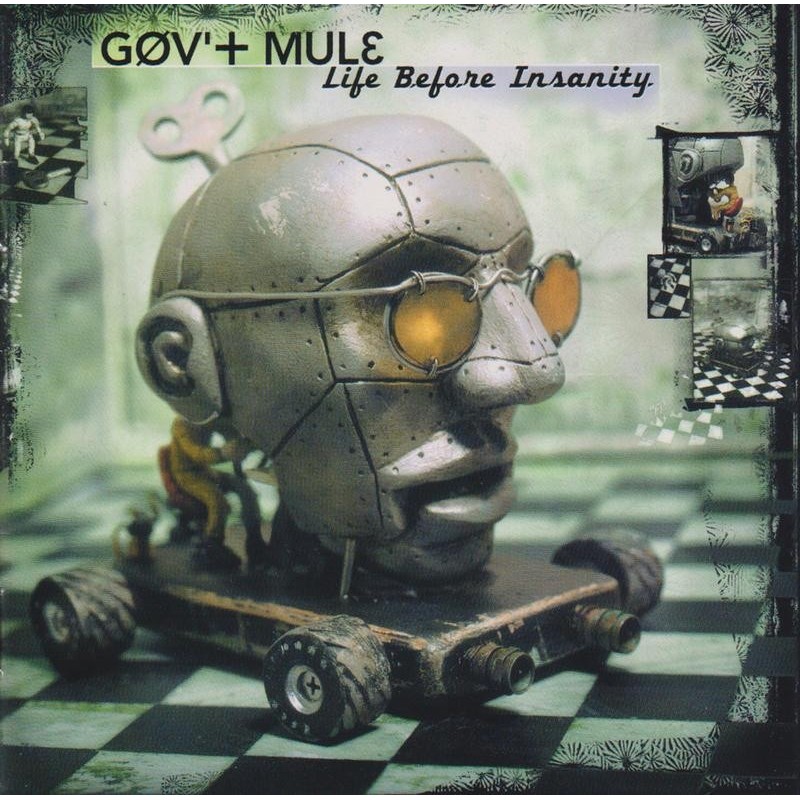 Govt Mule - Life Before Insanity (CD)