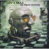 Govt Mule - Life Before Insanity (CD)