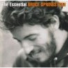 Bruce Springsteen - The Essential Bruce Springsteen (2 CD)