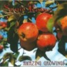 Sonic Rain - Amazing Growings (CD)