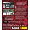 Klovni - Kyllä nolottaa (Klovn: The Movie) (Blu-ray)