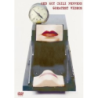 Red hot chili peppers - Greatest Videos (DVD)