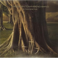 The Devin Townsend Band -...