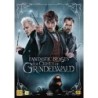 Ihmeotukset: Grindelwaldin Rikokset (Fantastic Beasts: The Crimes of Grindelwald (2018)) (DVD)