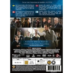 Ihmeotukset: Grindelwaldin Rikokset (Fantastic Beasts: The Crimes of Grindelwald (2018)) (DVD)