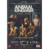 Animal Kingdom (2009) (DVD)
