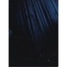 Blue Velvet (2-disc edition) (2 DVD)