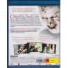 Day of the Dead (2008) (Blu-ray)