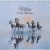 Bob Seger & The Silver Bullet Band - Against The Wind (CD)