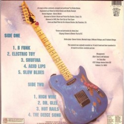 Richie Kotzen - Electric Joy (LP)