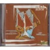 Mr Len - Pity The Fool (Experiments In Therapy Behind The Mask Of Music While Handing Out Dummysmacks) (CD)