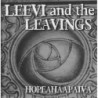 Leevi And The Leavings - Hopeahääpäivä (CD)