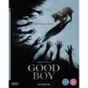Good Boy (2025) (4K UHD)
