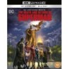 The Death and Return of Superman (2019) (4K UHD)