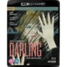 Darling (1965) (4K UHD)
