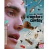 Drugstore Cowboy - The Criterion Collection (1989) (4K UHD)