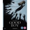 Good Boy (2025) (Blu-ray)