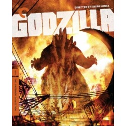 Godzilla - The Criterion...