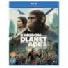 Kingdom of the Planet of the Apes (2024) (Blu-ray)