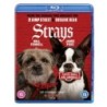 Strays (2023) (Blu-ray)