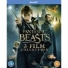 Fantastic Beasts: 3-film Collection (2022) (3 Blu-ray)