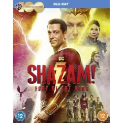 Shazam!: Fury of the Gods...