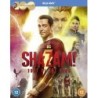 Shazam!: Fury of the Gods (2023) (Blu-ray)