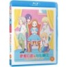 My Next Life As a Villainess: All Routes Lead to Doom! (2020) (2 Blu-ray)