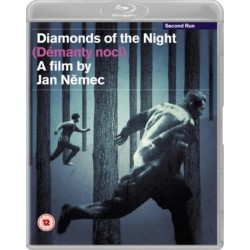 Diamonds of the Night...