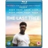 The Last Tree (2019) (Blu-ray)