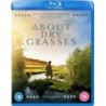 About Dry Grasses (2023) (Blu-ray)