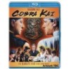 Cobra Kai: Season 1 & 2 (2019) (2 Blu-ray)