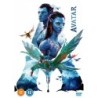 Avatar (Remastered - 2022) (2009) (DVD)