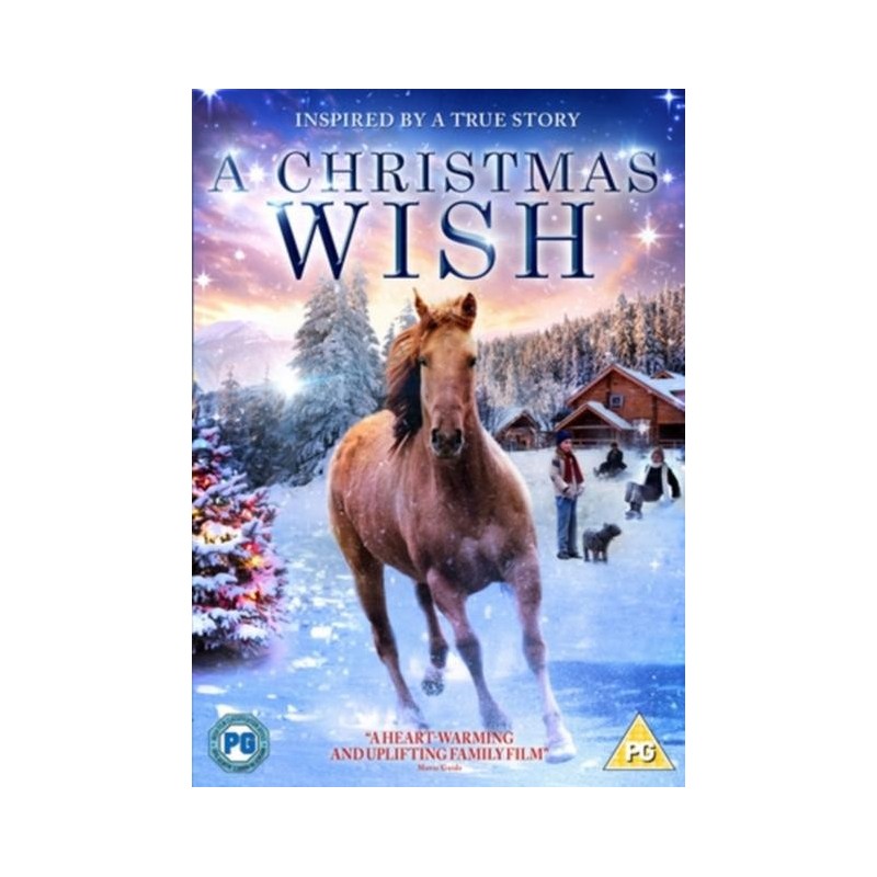 A Christmas Wish (2013) (DVD)